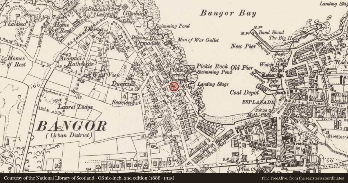 Ordnance Survey six-inch map, 2nd edition (1888–1915) covering the location of Princetown Villa, Corporation, Ards and North Down, with a pin at the register's coordinates