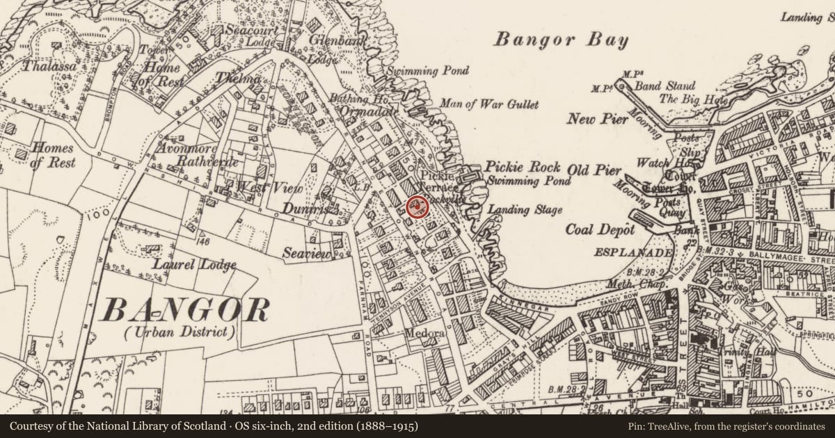 Ordnance Survey six-inch map, 2nd edition (1888–1915) covering the location of Rockville, Ards and North Down, with a pin at the register's coordinates