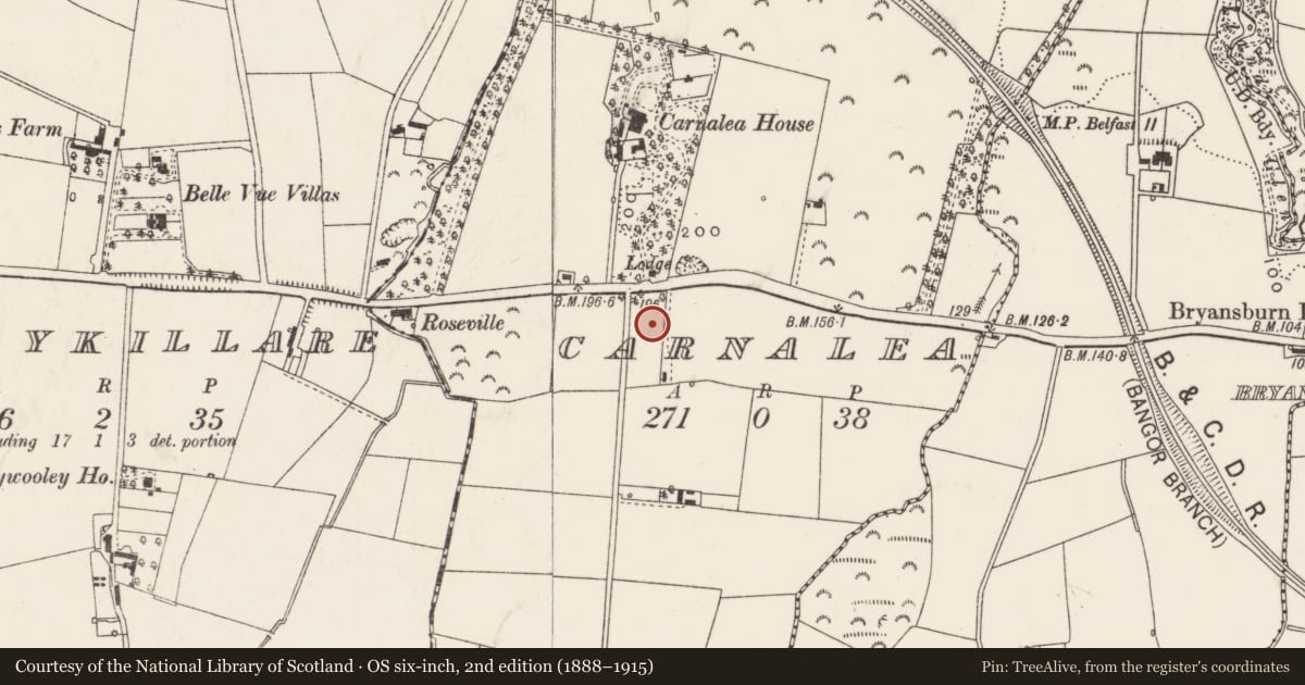 Ordnance Survey six-inch map, 2nd edition (1888–1915) covering the location of West Presbyterian Church, Ards and North Down, with a pin at the register's coordinates