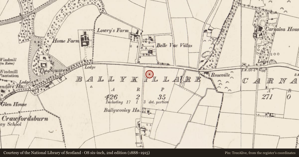Ordnance Survey six-inch map, 2nd edition (1888–1915) covering the location of St. Gall’s Church of Ireland, Ards and North Down, with a pin at the register's coordinates