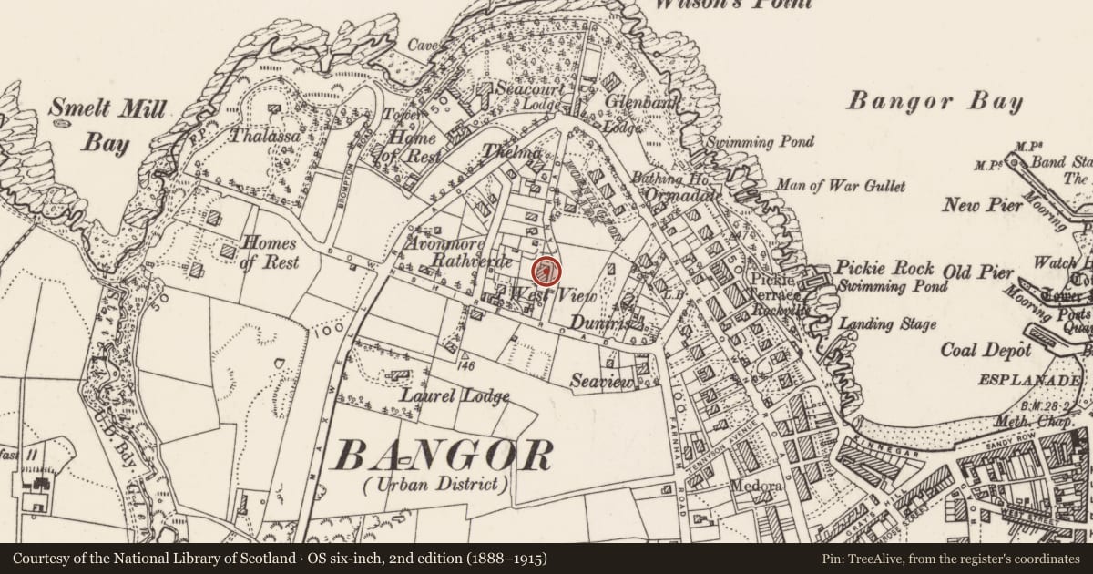Ordnance Survey six-inch map, 2nd edition (1888–1915) covering the location of 14 Raglan Road, Corporation, Ards and North Down, with a pin at the register's coordinates