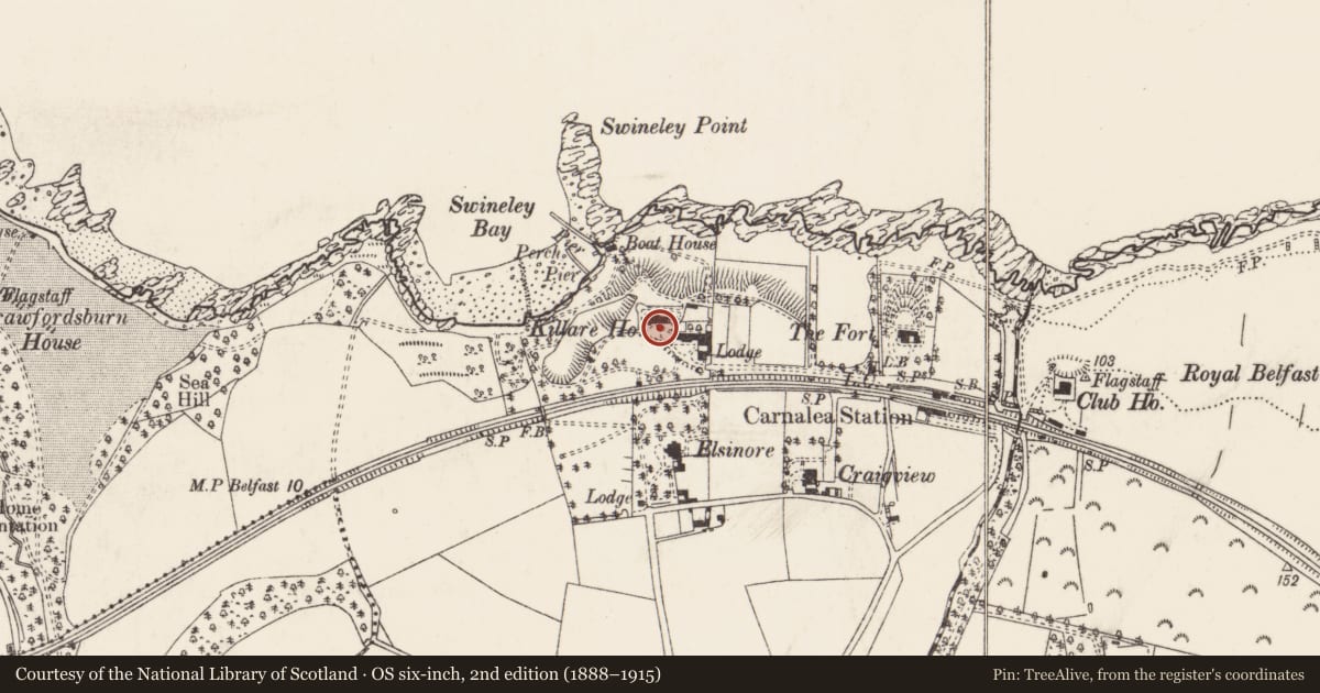 Ordnance Survey six-inch map, 2nd edition (1888–1915) covering the location of Killaire House, Ballykillare, Ards and North Down, with a pin at the register's coordinates