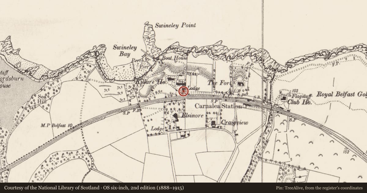 Ordnance Survey six-inch map, 2nd edition (1888–1915) covering the location of Lodge, Ards and North Down, with a pin at the register's coordinates