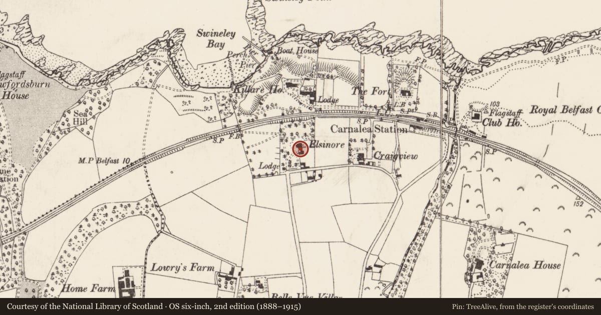 Ordnance Survey six-inch map, 2nd edition (1888–1915) covering the location of Bridge House, Ballykillare, Ards and North Down, with a pin at the register's coordinates