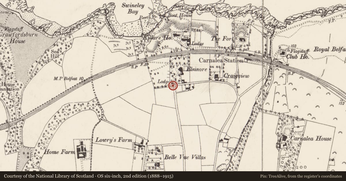 Ordnance Survey six-inch map, 2nd edition (1888–1915) covering the location of The Gate Lodge, ballykillare, Ards and North Down, with a pin at the register's coordinates