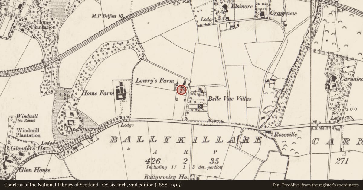 Ordnance Survey six-inch map, 2nd edition (1888–1915) covering the location of Lowry’s Farm, Ards and North Down, with a pin at the register's coordinates