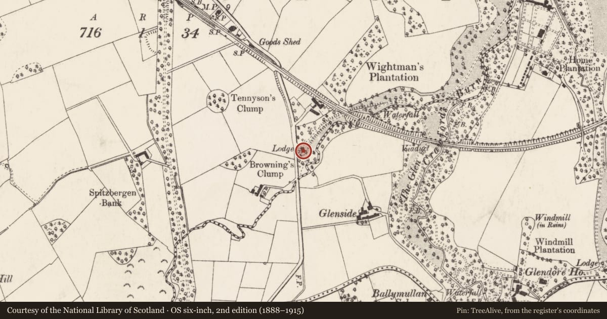Ordnance Survey six-inch map, 2nd edition (1888–1915) covering the location of Gate Lodge, 20 Bridge Road South, Helens Bay, Bangor, BT19 1JT, Ards and North Down, with a pin at the register's coordinates