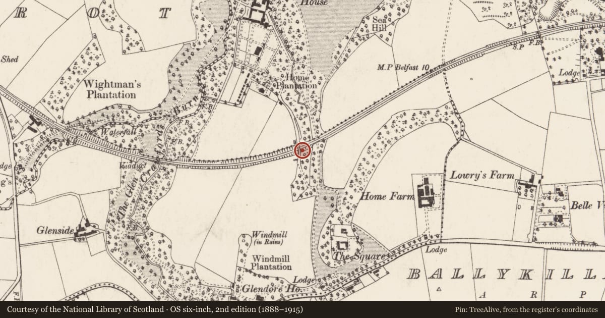 Ordnance Survey six-inch map, 2nd edition (1888–1915) covering the location of Road-Over-Railway Bridge, Ards and North Down, with a pin at the register's coordinates