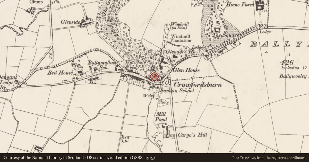 Ordnance Survey six-inch map, 2nd edition (1888–1915) covering the location of The Watermill, Ballymullan, Ards and North Down, with a pin at the register's coordinates