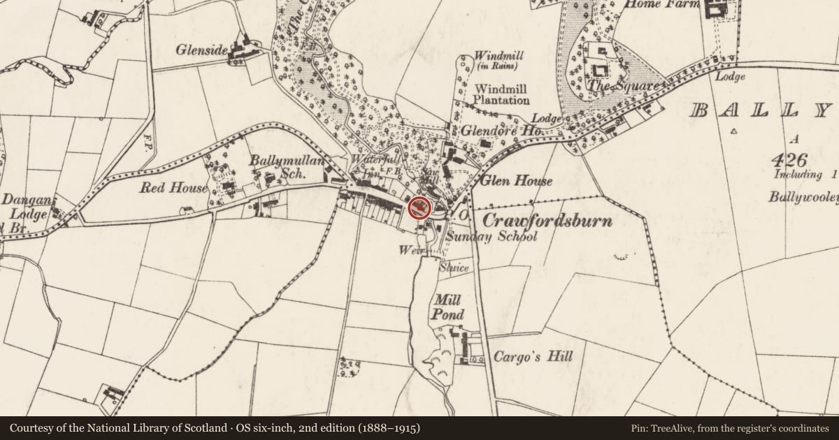 Ordnance Survey six-inch map, 2nd edition (1888–1915) covering the location of 1, 3, 5, 7, 9 Main Street, Ards and North Down, with a pin at the register's coordinates