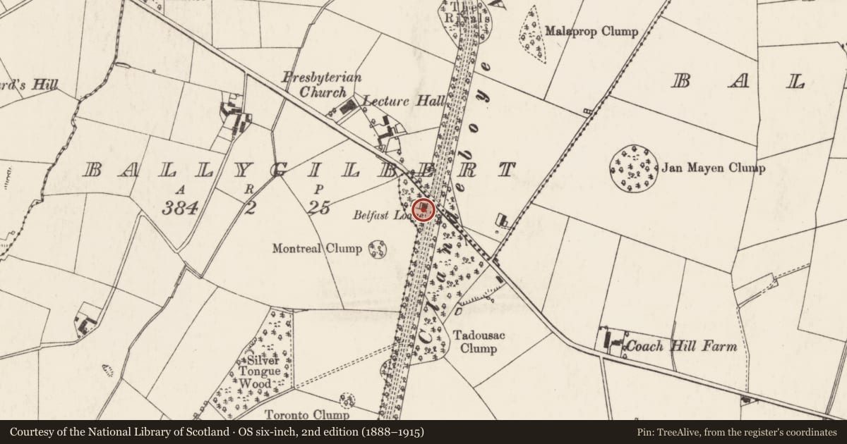 Ordnance Survey six-inch map, 2nd edition (1888–1915) covering the location of Ava Cottage, Ballymullan, Ards and North Down, with a pin at the register's coordinates
