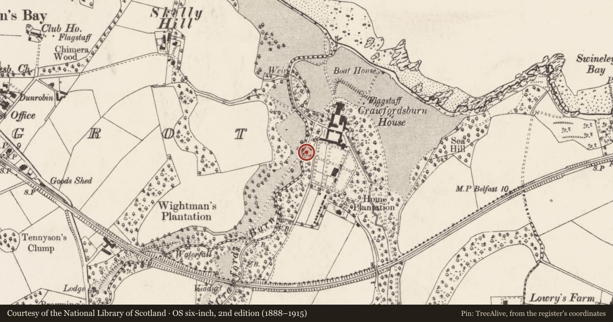 Ordnance Survey six-inch map, 2nd edition (1888–1915) covering the location of Bridge, Ards and North Down, with a pin at the register's coordinates