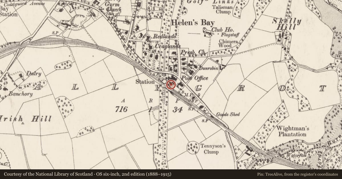 Ordnance Survey six-inch map, 2nd edition (1888–1915) covering the location of 3 Station Square, Ballygrot, Ards and North Down, with a pin at the register's coordinates