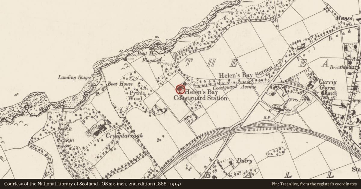 Ordnance Survey six-inch map, 2nd edition (1888–1915) covering the location of 4 Coastguard Cottages, Ballygrot, Ards and North Down, with a pin at the register's coordinates