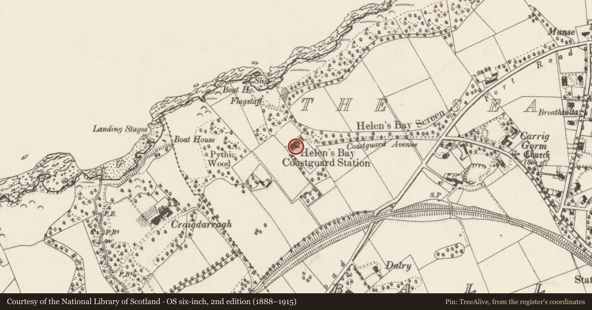 Ordnance Survey six-inch map, 2nd edition (1888–1915) covering the location of 5 Coastguard Cottages, Ballygrot, Ards and North Down, with a pin at the register's coordinates