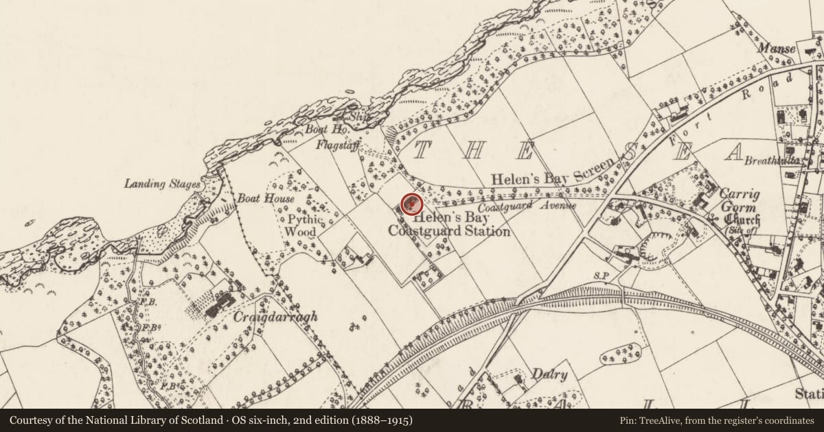 Ordnance Survey six-inch map, 2nd edition (1888–1915) covering the location of 8 Coastguard Cottages, Ballygrot, Ards and North Down, with a pin at the register's coordinates