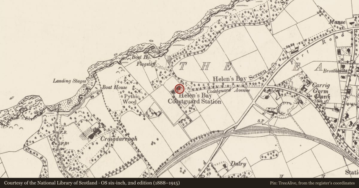 Ordnance Survey six-inch map, 2nd edition (1888–1915) covering the location of 9 Coastguard Cottages, Ballygrot, Ards and North Down, with a pin at the register's coordinates