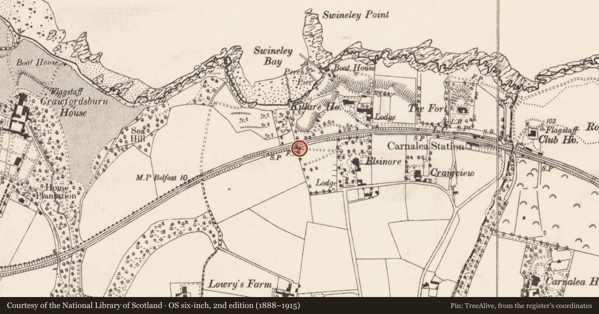 Ordnance Survey six-inch map, 2nd edition (1888–1915) covering the location of Foot Bridge, Ards and North Down, with a pin at the register's coordinates