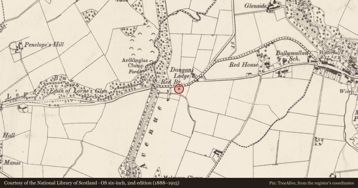 Ordnance Survey six-inch map, 2nd edition (1888–1915) covering the location of Lowburn, Ards and North Down, with a pin at the register's coordinates