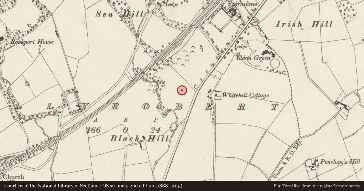 Ordnance Survey six-inch map, 2nd edition (1888–1915) covering the location of Guincho, Ballyrobert, Ards and North Down, with a pin at the register's coordinates