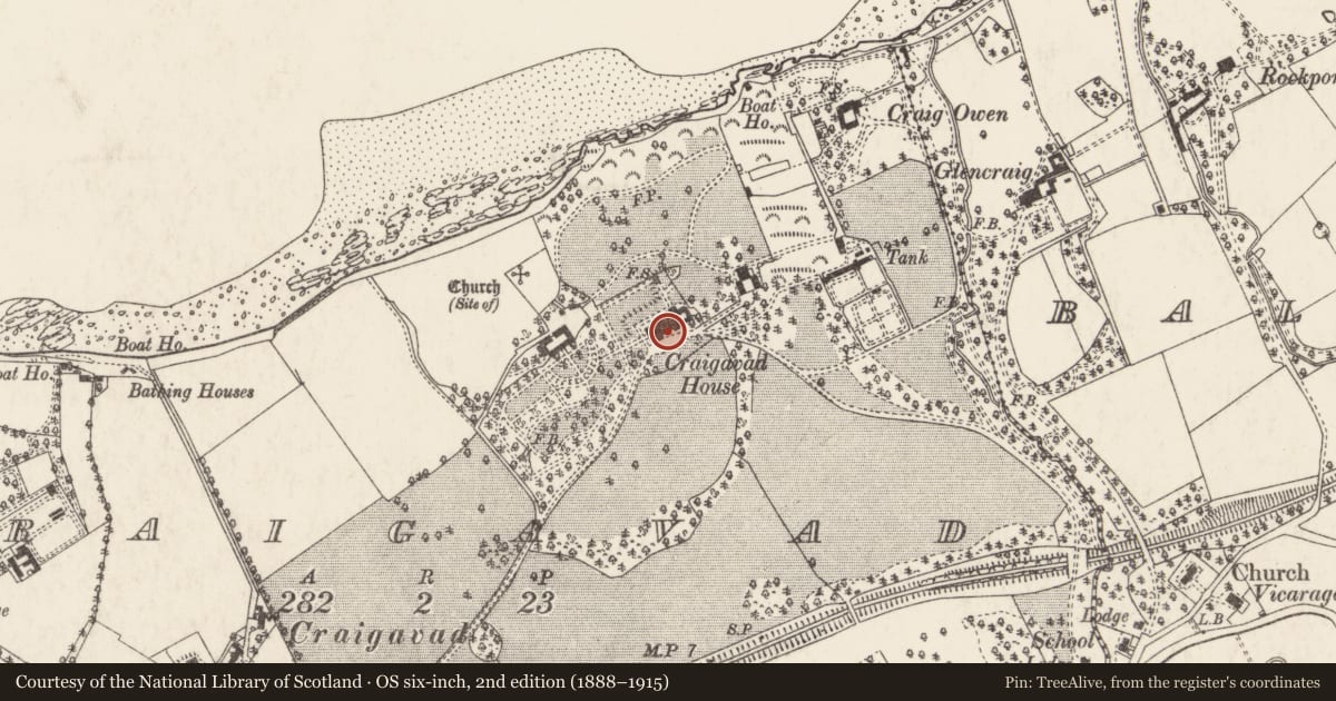 Ordnance Survey six-inch map, 2nd edition (1888–1915) covering the location of The Royal Belfast Golf Club, Craigavad, Ards and North Down, with a pin at the register's coordinates