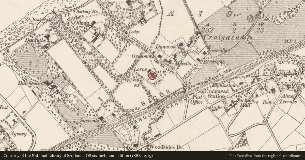 Ordnance Survey six-inch map, 2nd edition (1888–1915) covering the location of Lorne, Craigavad, Ards and North Down, with a pin at the register's coordinates