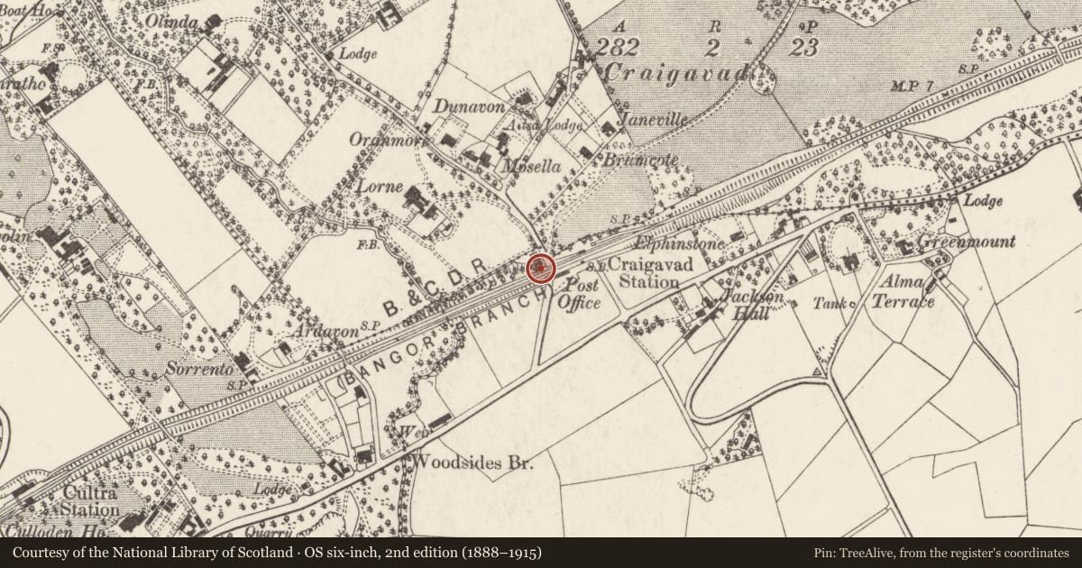 Ordnance Survey six-inch map, 2nd edition (1888–1915) covering the location of 1 Lorne Cottages, Ballygrainey, Ards and North Down, with a pin at the register's coordinates