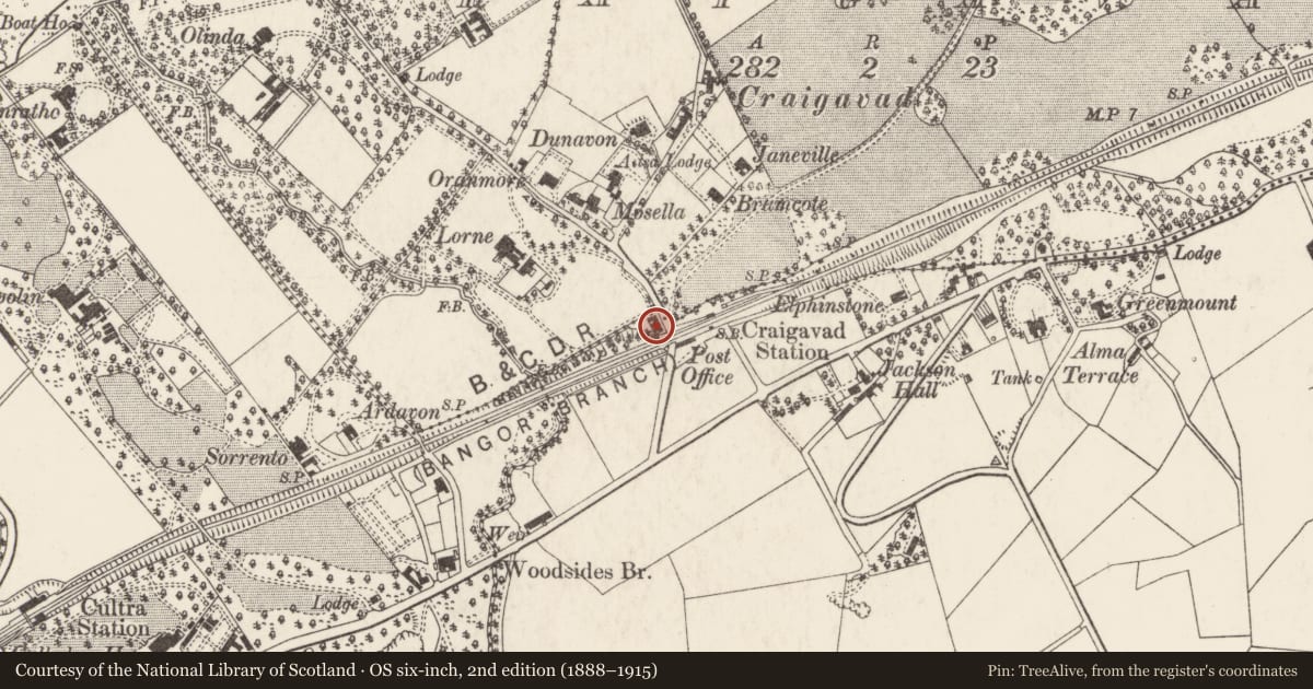 Ordnance Survey six-inch map, 2nd edition (1888–1915) covering the location of 3 Lorne Cottages, Ballygrainey, Ards and North Down, with a pin at the register's coordinates