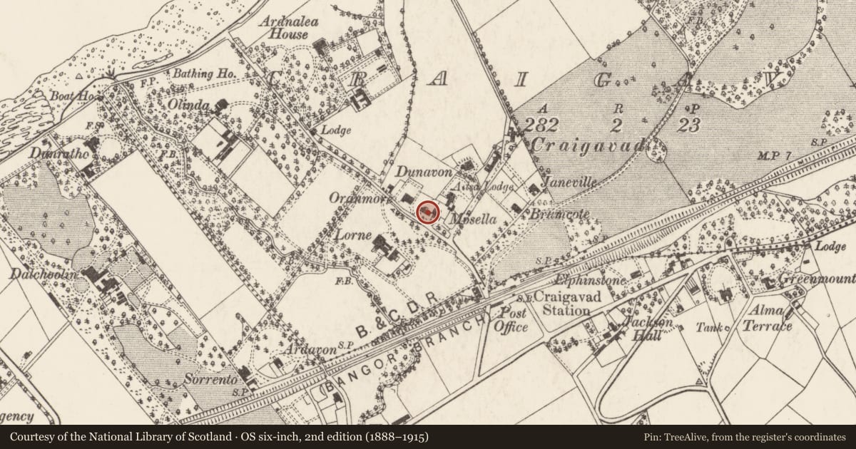 Ordnance Survey six-inch map, 2nd edition (1888–1915) covering the location of The Ivies, Craigavad, Ards and North Down, with a pin at the register's coordinates