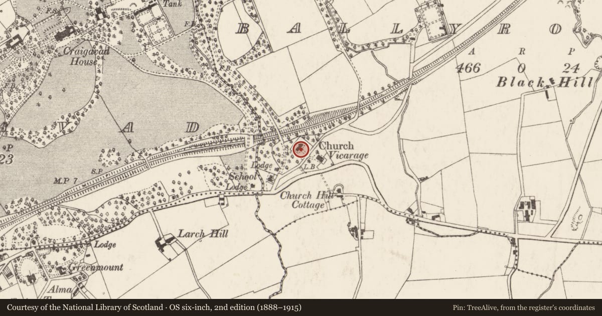 Ordnance Survey six-inch map, 2nd edition (1888–1915) covering the location of Holy Trinity Church, Ballyrobert, Ards and North Down, with a pin at the register's coordinates