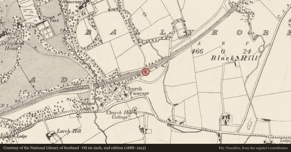 Ordnance Survey six-inch map, 2nd edition (1888–1915) covering the location of Road Bridge over Railway, Ards and North Down, with a pin at the register's coordinates