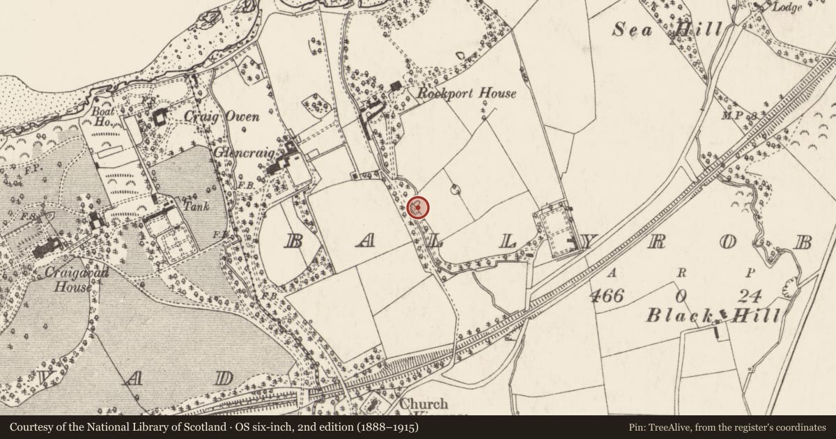 Ordnance Survey six-inch map, 2nd edition (1888–1915) covering the location of Rockport Ice House, Ards and North Down, with a pin at the register's coordinates