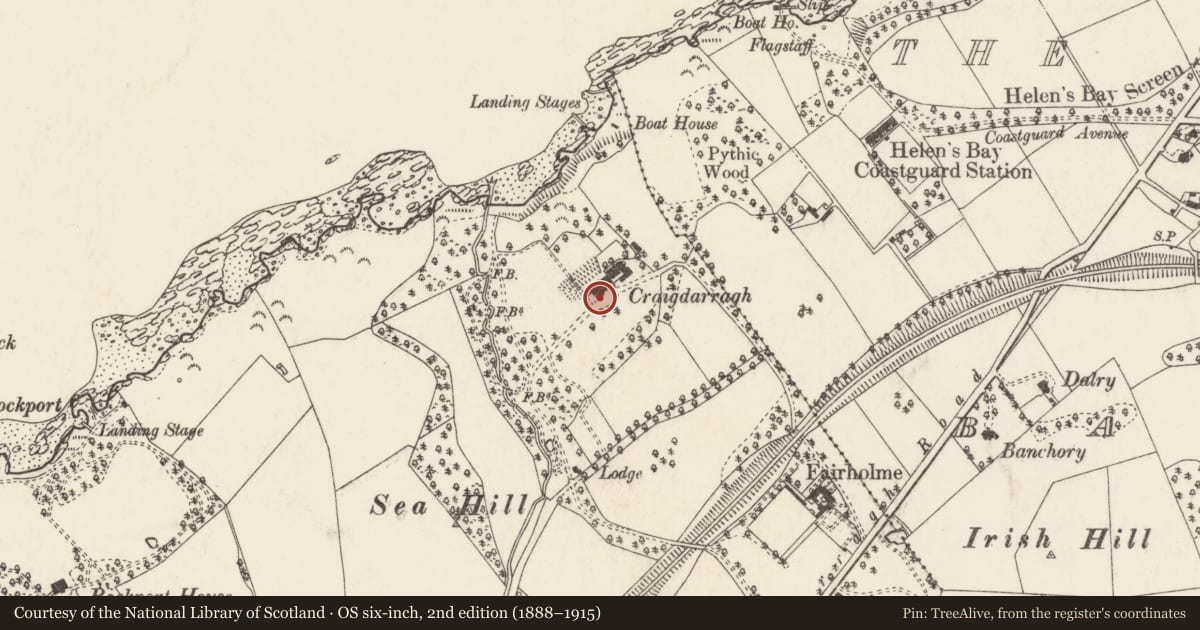 Ordnance Survey six-inch map, 2nd edition (1888–1915) covering the location of St Columbanus, Ballyrobert, Ards and North Down, with a pin at the register's coordinates