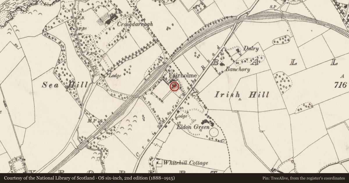 Ordnance Survey six-inch map, 2nd edition (1888–1915) covering the location of 45 Craigdarragh Road, Ballyrobert, Ards and North Down, with a pin at the register's coordinates