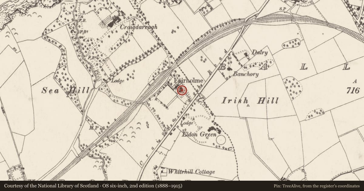 Ordnance Survey six-inch map, 2nd edition (1888–1915) covering the location of Fairholme House, Ballyrobert, Ards and North Down, with a pin at the register's coordinates