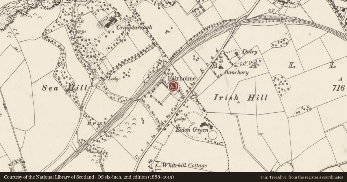 Ordnance Survey six-inch map, 2nd edition (1888–1915) covering the location of Mill Cottage, Ballyrobert, Ards and North Down, with a pin at the register's coordinates