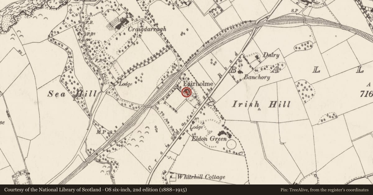 Ordnance Survey six-inch map, 2nd edition (1888–1915) covering the location of Old Mill House, Ballyrobert, Ards and North Down, with a pin at the register's coordinates