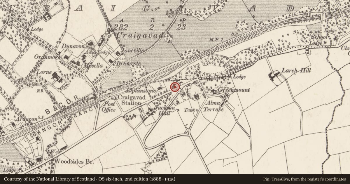 Ordnance Survey six-inch map, 2nd edition (1888–1915) covering the location of Trevone, Ards and North Down, with a pin at the register's coordinates