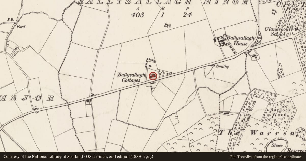 Ordnance Survey six-inch map, 2nd edition (1888–1915) covering the location of Ballysallagh Cottages, Ards and North Down, with a pin at the register's coordinates