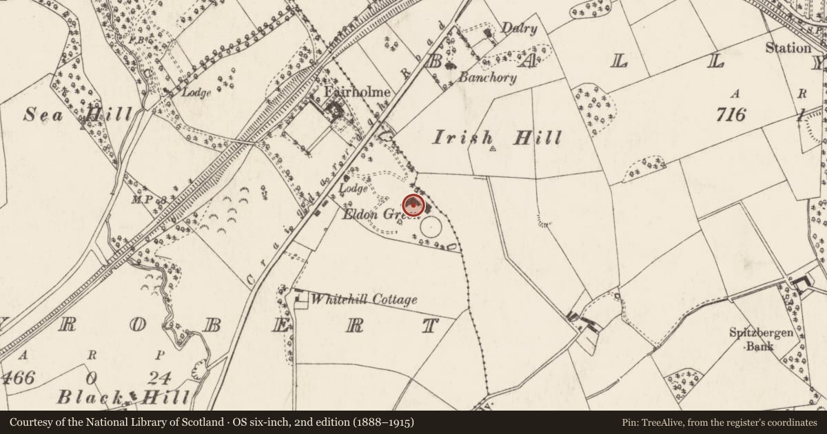 Ordnance Survey six-inch map, 2nd edition (1888–1915) covering the location of Rathmoyle, Ballyrobert, Ards and North Down, with a pin at the register's coordinates