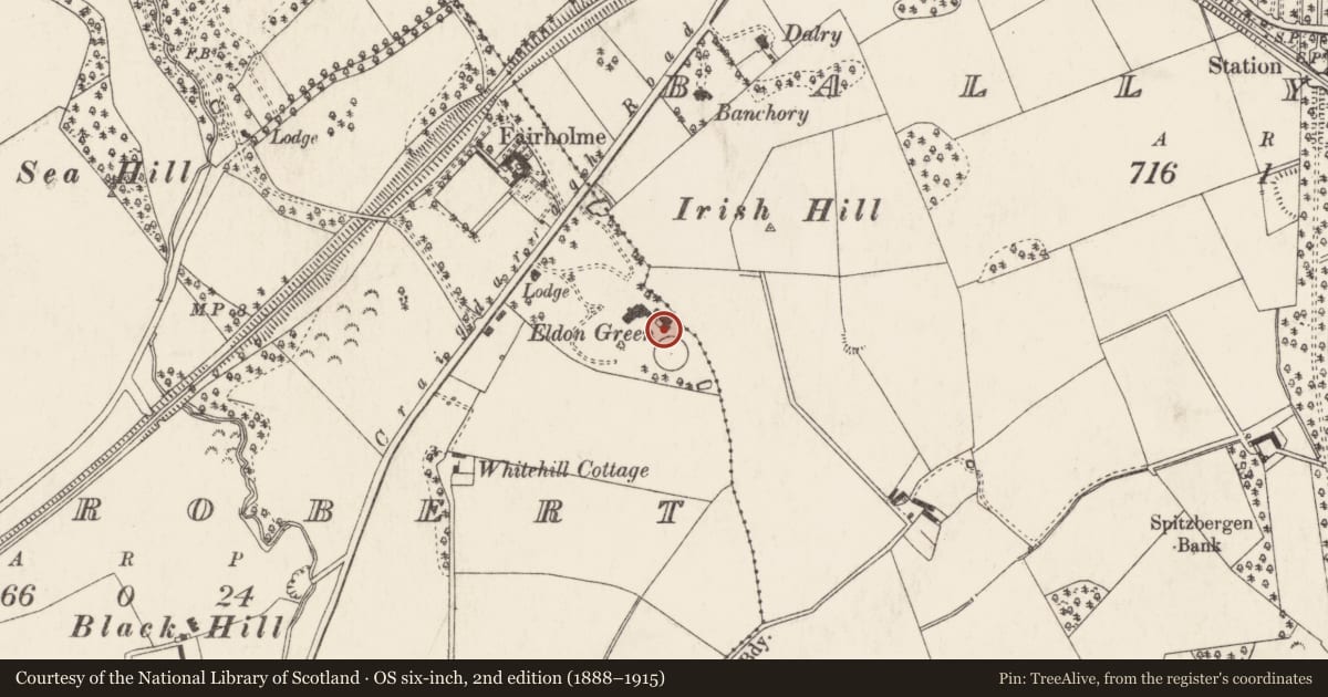 Ordnance Survey six-inch map, 2nd edition (1888–1915) covering the location of House Keeper Lodgings, Ballyrobert, Ards and North Down, with a pin at the register's coordinates
