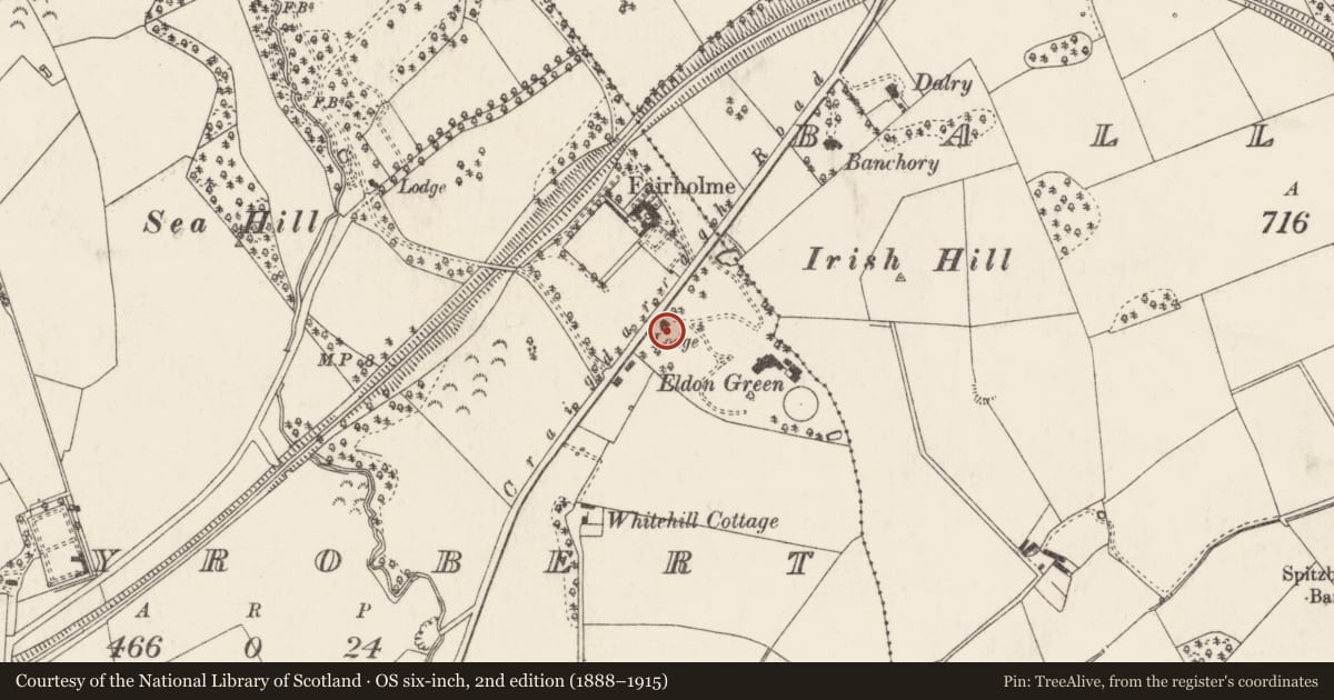 Ordnance Survey six-inch map, 2nd edition (1888–1915) covering the location of Gate Lodge, Ballyrobert, Ards and North Down, with a pin at the register's coordinates