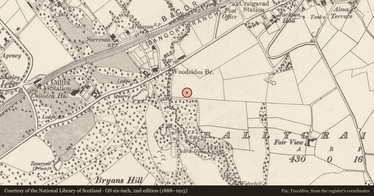 Ordnance Survey six-inch map, 2nd edition (1888–1915) covering the location of Little Bircham, Ards and North Down, with a pin at the register's coordinates