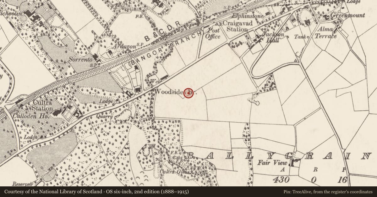 Ordnance Survey six-inch map, 2nd edition (1888–1915) covering the location of Birnam Wood, Ards and North Down, with a pin at the register's coordinates