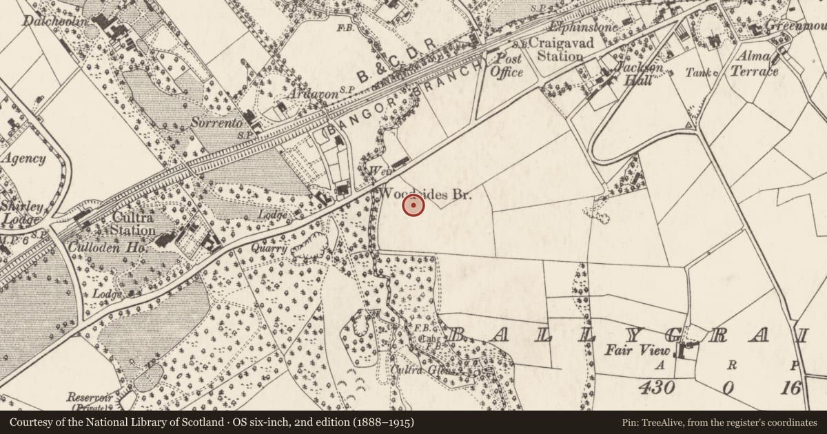 Ordnance Survey six-inch map, 2nd edition (1888–1915) covering the location of Dromineer, Ards and North Down, with a pin at the register's coordinates