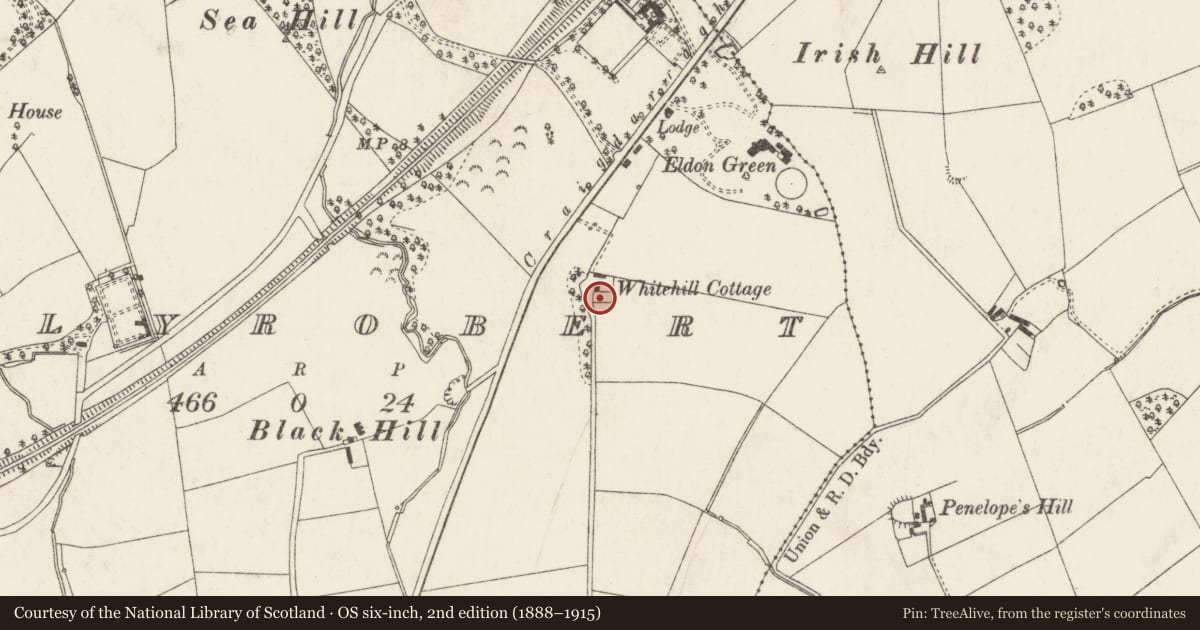 Ordnance Survey six-inch map, 2nd edition (1888–1915) covering the location of Whitehill Cottage, Ballyrobert, Ards and North Down, with a pin at the register's coordinates