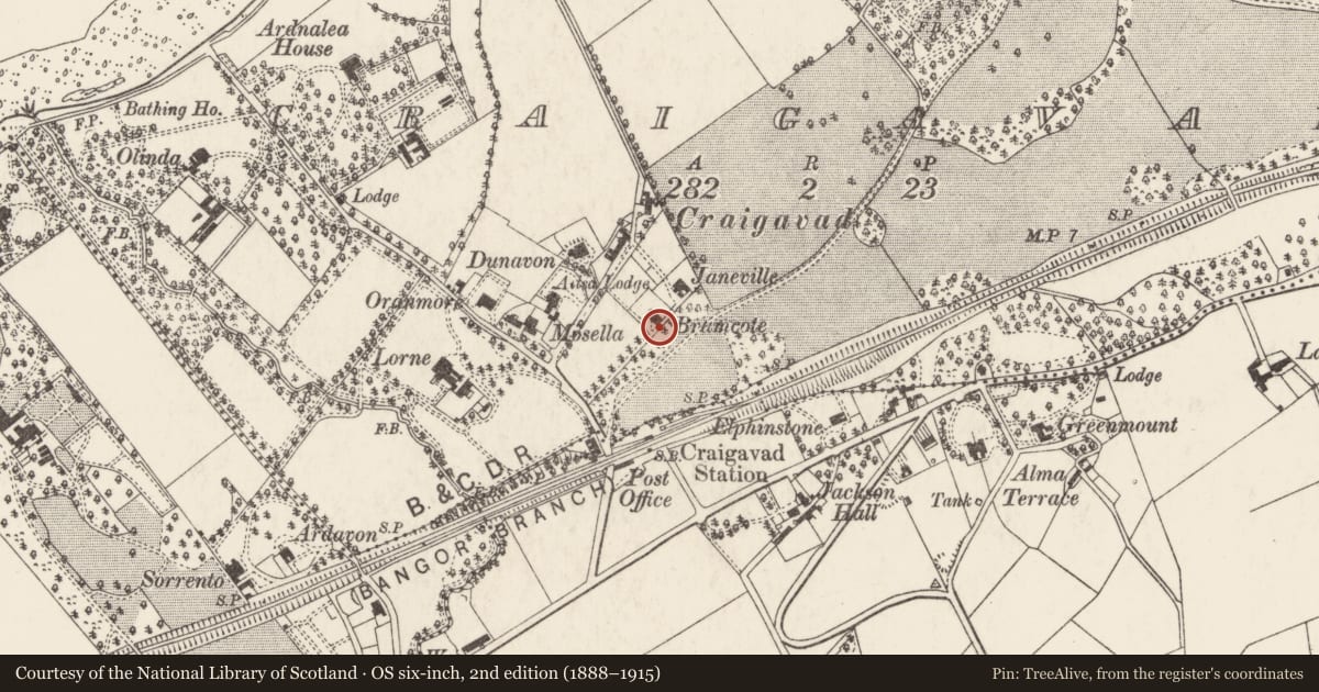 Ordnance Survey six-inch map, 2nd edition (1888–1915) covering the location of Bramcote, Craigavad, Ards and North Down, with a pin at the register's coordinates