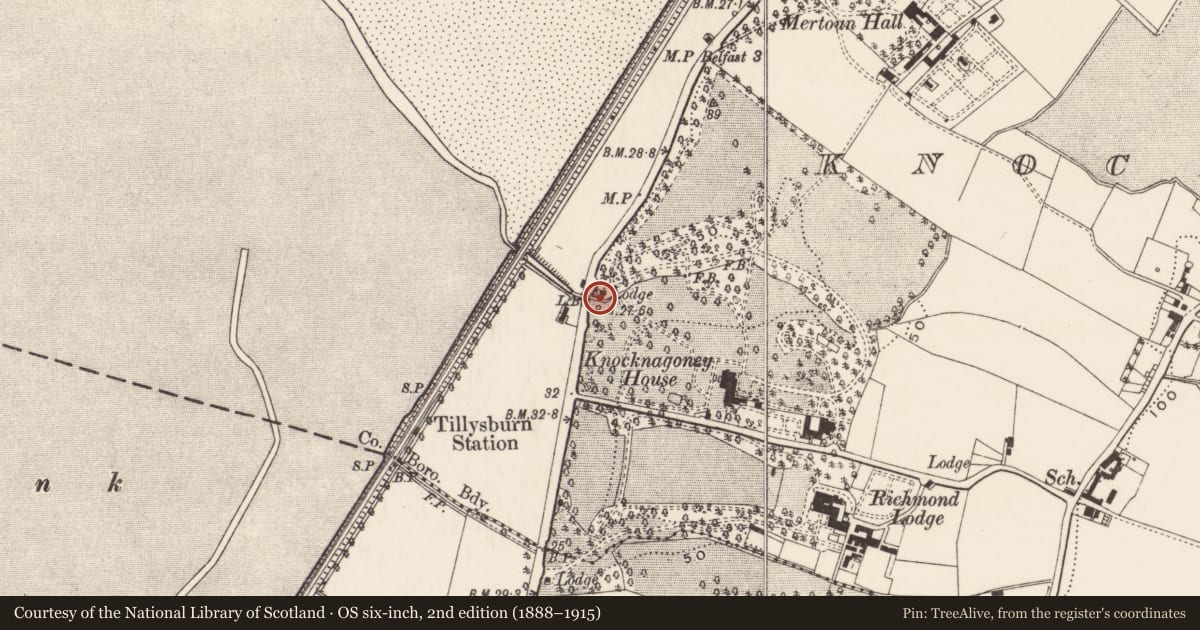 Ordnance Survey six-inch map, 2nd edition (1888–1915) covering the location of Knocknagoney Lodge, Belfast, with a pin at the register's coordinates