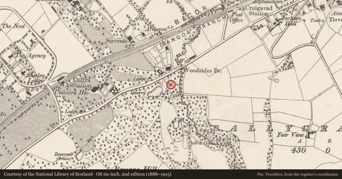 Ordnance Survey six-inch map, 2nd edition (1888–1915) covering the location of Gate Lodge, Ards and North Down, with a pin at the register's coordinates