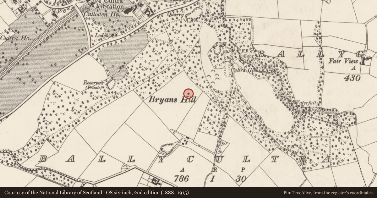 Ordnance Survey six-inch map, 2nd edition (1888–1915) covering the location of Timber Kiosk, Ards and North Down, with a pin at the register's coordinates